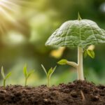 Comment fabriquer un système d’irrigation goutte à goutte maison avec récupération d’eau de pluie