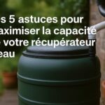 Les 5 astuces pour maximiser la capacité de votre récupérateur d’eau